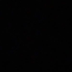 Meet your Posher, Dante